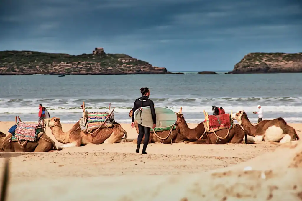 ESSAOUIRA – Cheap rental car Agadir Airport MohiCars