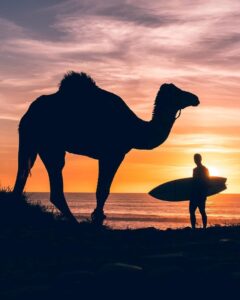 surfing in agadir