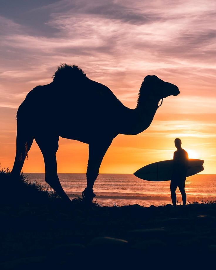 surfing in agadir